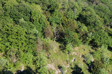 People sitting on the hill in the forest of the Avon Gorge. Bristol