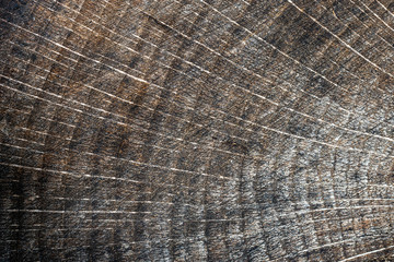 Fototapeta premium wood texture background