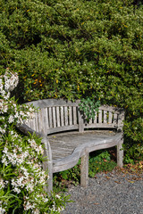 Wooden bench in a sunny garden, peaceful place to rest next to a gravel path
