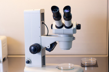 Stereo microscope inside a laminar flow cabinet used to tissue culture in petri dishes for research purposes in laboratory