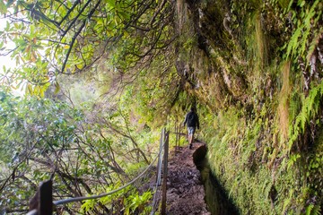 Hiking trail (Levada) to Caldeirão Verde, Madeira.