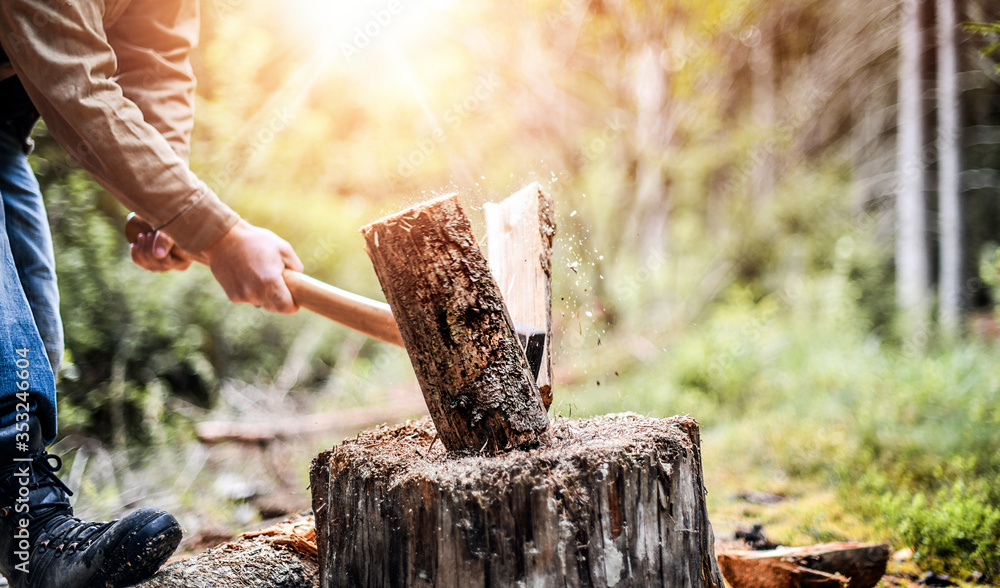 Wall mural Man holding heavy ax. Axe in strong lumberjack hands chopping wood trunks