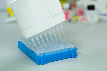 Researcher or scientific using a multichannel micropipette to put the DNA or RNA samples in a 96...