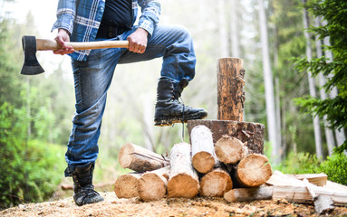 Man holding heavy ax. Axe in strong lumberjack hands chopping wood trunks