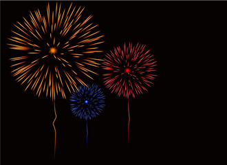 Firework vector