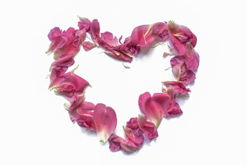Peony petals laid out in the shape of a heart. Valentine's day concept.