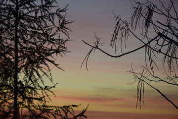 Zachód słońca wiosną © Anna