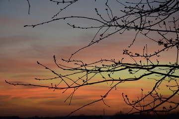 Zachód słońca wiosną © Anna