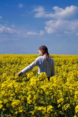 Fototapeta premium A girl walks along the rape field, in the summer, stands with her back to us. touches plant flowers with hand