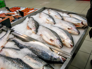 fresh gutted large red fish trout and salmon lies in pieces of ice on a counter sold in a store