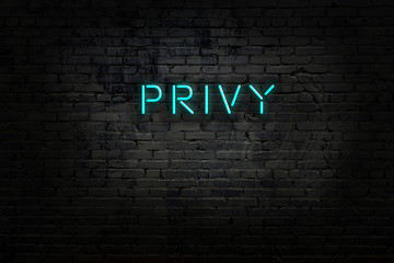 Night view of neon sign on brick wall © iushakovsky