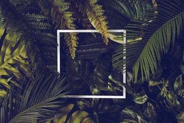 Banner with green tropical leaves on dark background. Exotic botanical design for cosmetics, spa,...