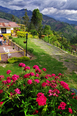Salento resort , Colombia, South America