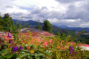 Salento resort , Colombia, South America