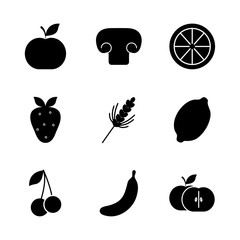 fruits and healthy food icon set, silhouette style