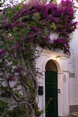 Front door covered with purple flowers