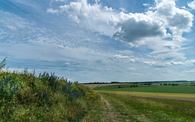 Obraz premium Countryside landscape, field flowers along a path, view of farmland