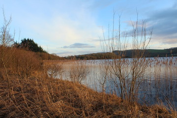 Lough Macnean Lower, County Fermanagh, N. Ireland on winter day