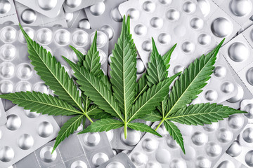Marijuana leaf and medical pills.Legalizing marijuana for medical purposes.Hemp buds - medical...