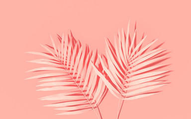 Exotic plants with backdrop. Tropical layout mockup. Background with painted palm leaves. Pink...