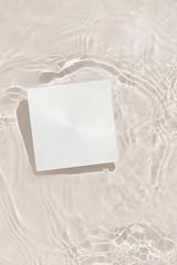 Summer scene with paper card note in water. Sun and shadows. Minimal nature background with...