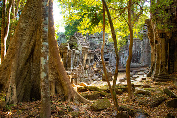 Obraz premium Piękny widok na świątynie Angkor Wat w Siem Reap w Kambodży.