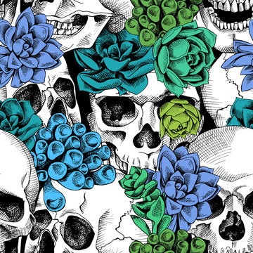 Seamless pattern with image of a skull and Succulent plant. Vector illustration.