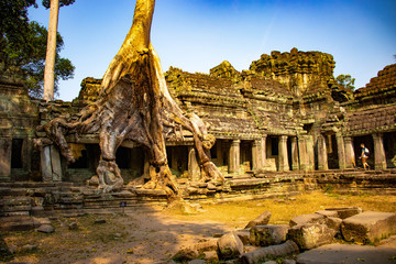 Fototapeta premium Piękny widok na świątynię Ta Phrom w Siem Reap w Kambodży.