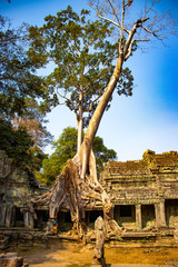 Naklejka premium Piękny widok na świątynie Angkor Wat w Siem Reap w Kambodży.