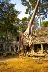A beautiful view of Angkor Wat temples at Siem Reap, Cambodia.