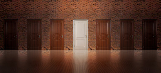 White door among brown ones in room. Concept of choice