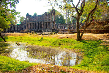 Fototapeta na wymiar A beautiful view of Angkor Thom temple at Siem Reap, Cambodia.