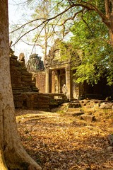 A beautiful view of Angkor Wat temple at Siem Reap, Cambodia.