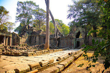 A beautiful view of Angkor Wat temple at Siem Reap, Cambodia.