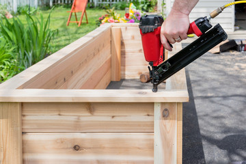 Closeup of a man using a power nail gun to build raised garden beds, with sawdust flying