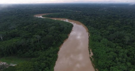Large and Beautiful Amazon Rainforest River Surrounded by Pristine Luxuriant Green Jungle