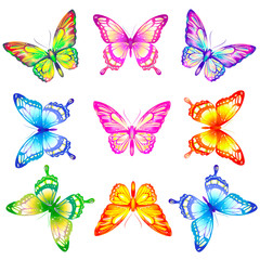 butterfly644