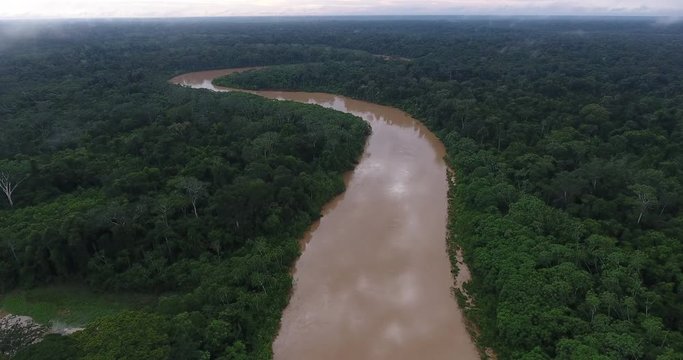 Large and Beautiful Amazon Rainforest River Surrounded by Pristine Luxuriant Green Jungle