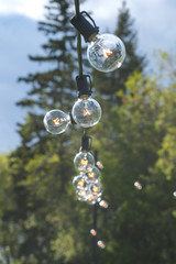 String of Edison bulbs against a background of trees at an outdoor party