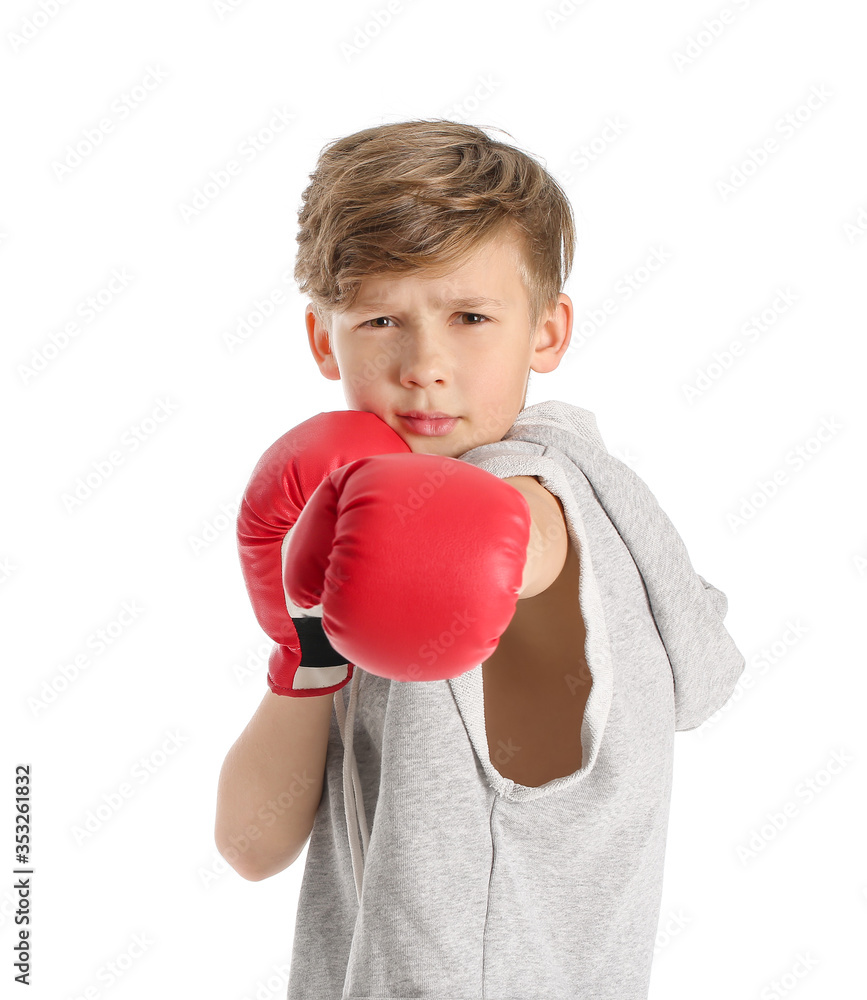 Canvas Prints cute little boxer on white background