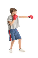 Cute little boxer on white background