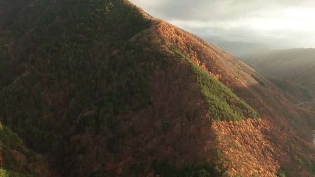 Aerial view of the autumn forest in the mountains at sunset. Nagano, Japan.