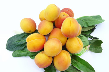 Organic apricot fruit on the tree leaves on white background
