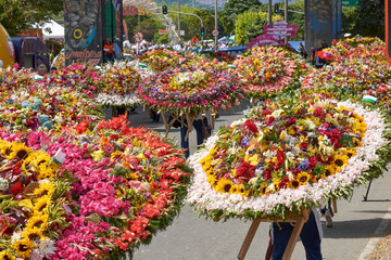 Tradicional desfile de silleteros en Medellin, Colombia, durante la feria de las flores en agosto de 2019