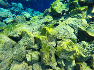 Silfra Diving
