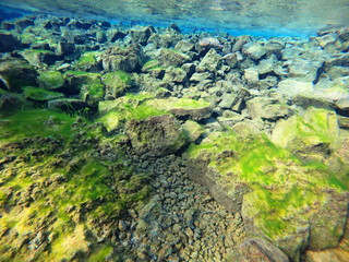 Silfra Diving Between Two Plates