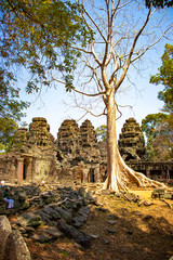 Obraz premium Piękny widok na świątynię Angkor Wat w Siem Reap w Kambodży.