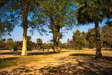 Fototapeta premium A beautiful view of Angkor Wat temple at Siem Reap, Cambodia.