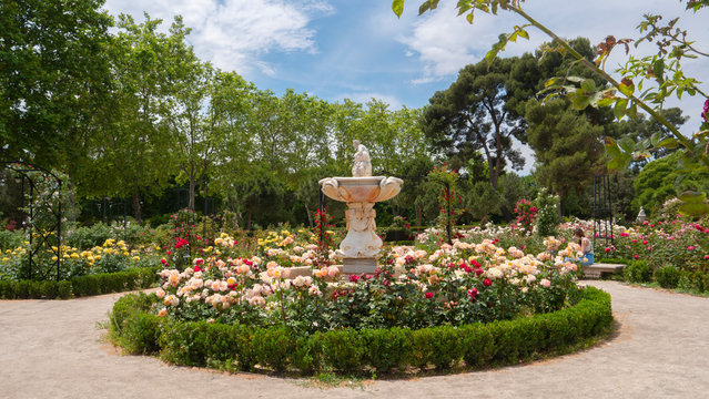 Madrid, Spain, June 01, 2020 : "El retiro" park, the section called "la rosaleda" or "roses garden"