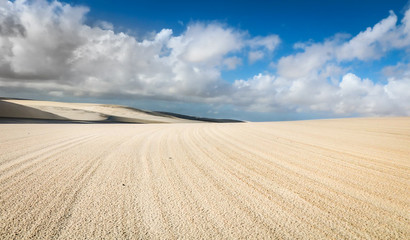 Fototapeta premium Curvas dos Lençóis Maranhenses